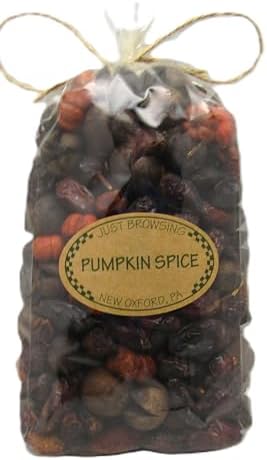 Just Browsing Pumpkin Spice Potpourri - 4 Cup Bag