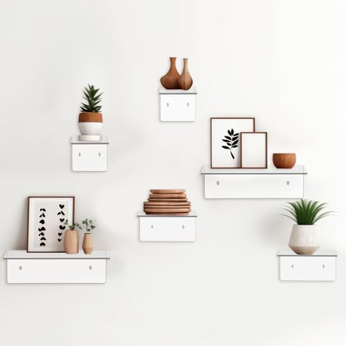 Pinkunn 6 Pack Clear Acrylic Floating Shelves for Wall