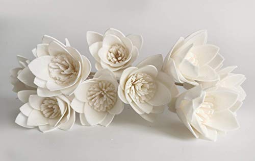 10 Sola Flower Reed Diffuser for Home Fragrance