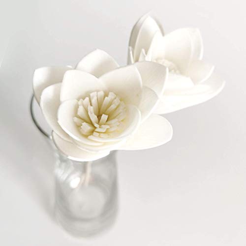 10 Sola Flower Reed Diffuser for Home Fragrance