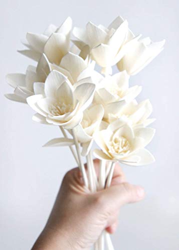 10 Sola Flower Reed Diffuser for Home Fragrance