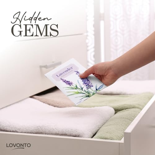 Lovonto 6 Pack Scented Sachet Bags for Home and Car Freshness