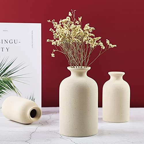 Stylish Ceramic Dry Flower Vase for Home Decor