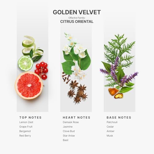 Aromaplan Hotel Scents Golden Velvet 5 Fl Oz Luxury Diffuser Oil