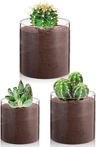 Meekoo 3 Piece Clear Acrylic Cylinder Vase Set