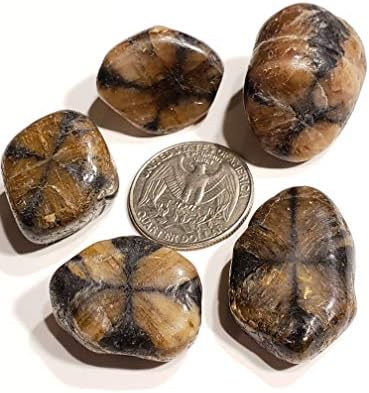 Chiastolite Cross Stone 20-30mm Tumbled Healing Crystal
