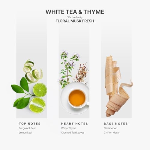Aromaplan Hotel Scents White Tea Thyme 5 Fl Oz