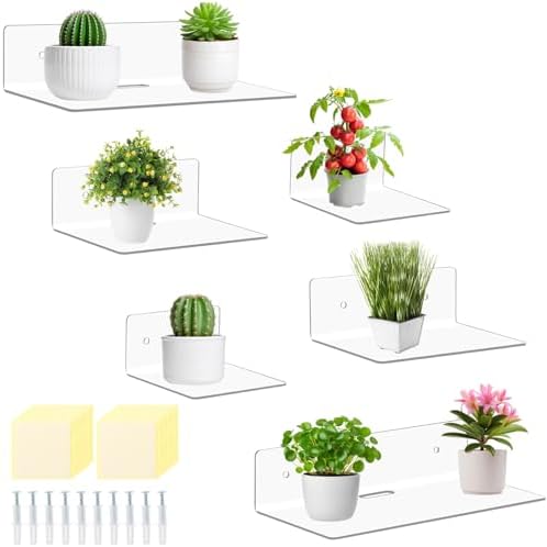 Pinkunn 6 Pack Clear Acrylic Floating Shelves for Wall