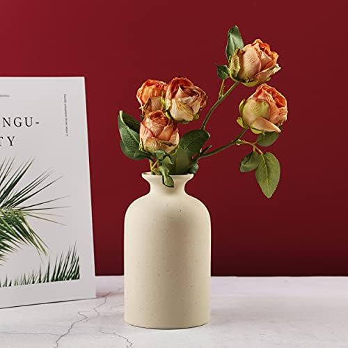 Stylish Ceramic Dry Flower Vase for Home Decor