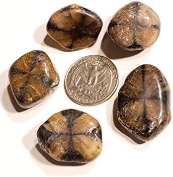 Chiastolite Cross Stone 20-30mm Tumbled Healing Crystal
