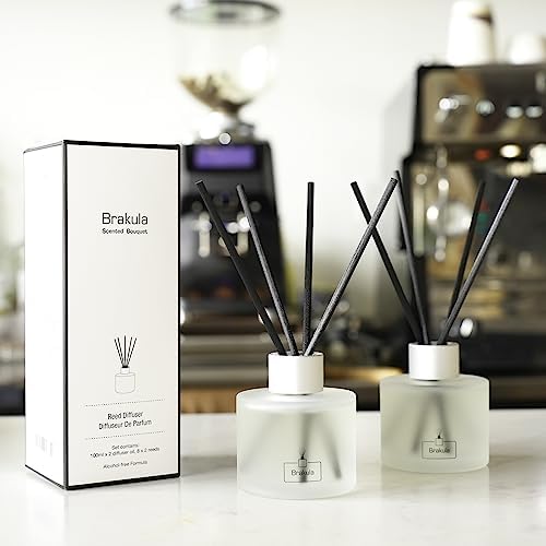 2 Packs Reed Diffuser Set - Bamboo White Tea Scented Home Fragrance