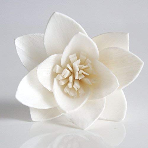 10 Sola Flower Reed Diffuser for Home Fragrance