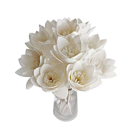 10 Sola Flower Reed Diffuser for Home Fragrance