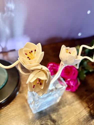 Personalized Reed Diffuser Set with Beets and Apples