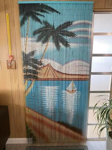 Handmade Beaded Curtain with 4000 Painted Beads
