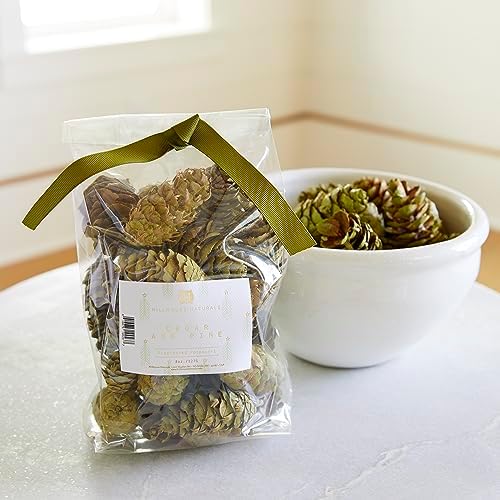 Hillhouse Naturals Cedar Pine 8oz Potpourri Green Pine Cones