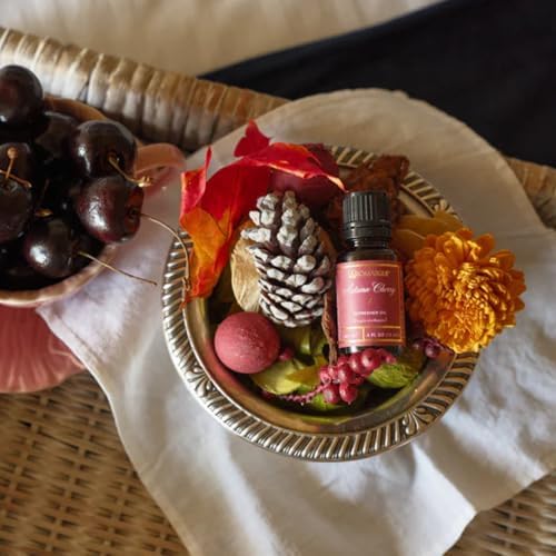 Aromatique Autumn Cherry Scented Potpourri Bag 75oz