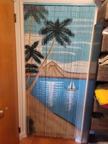 Handmade Beaded Curtain with 4000 Painted Beads