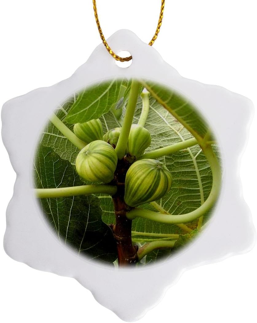 3 inch Snowflake Porcelain Ornament - Fig Tree Keepsake