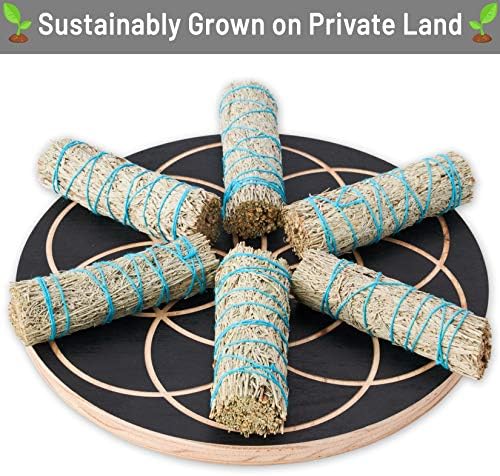Blue Sage Smudge Sticks 4 Inch - Natural Healing Uplifting Energy