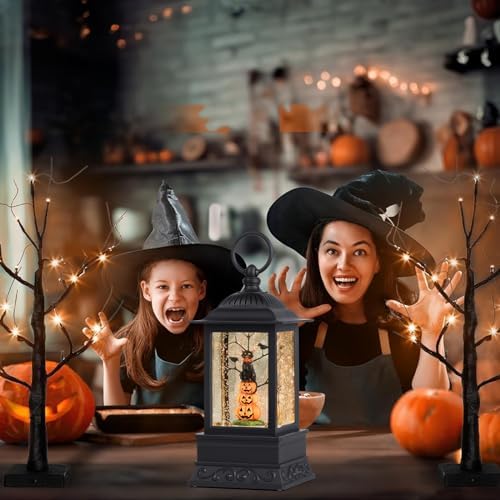 Melunar 10 Halloween Snow Globe with Light and Music