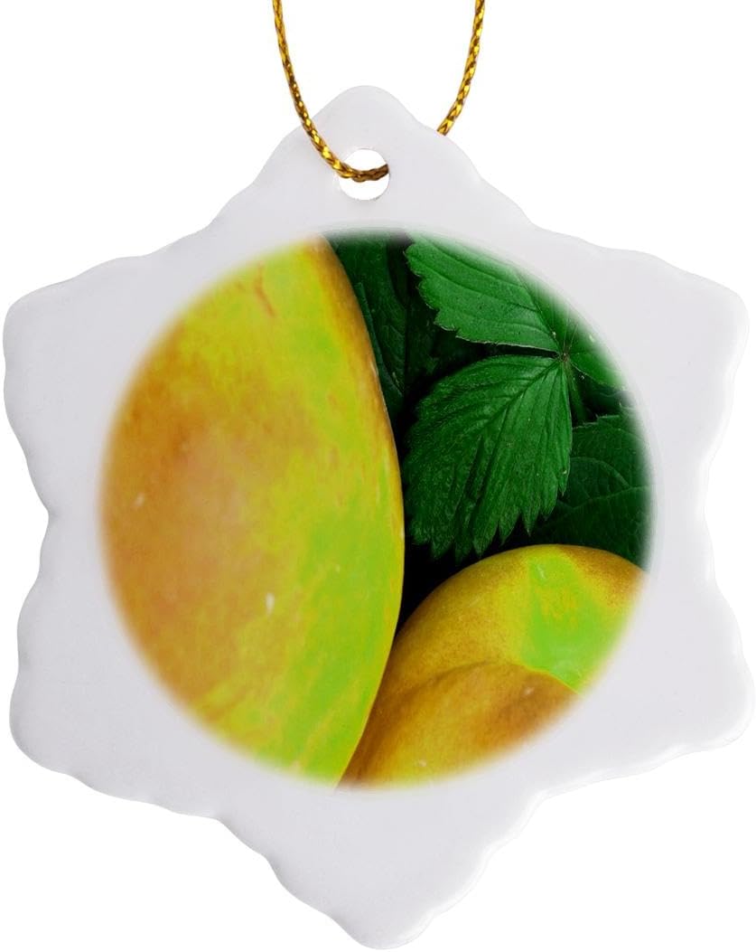3 inch Snowflake Porcelain Ornament - Yellow Fruit Berries and Fruit 1