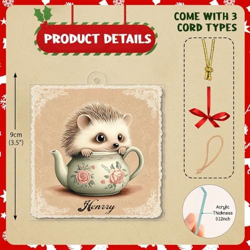 Personalized Name Hedgehog Hanging Ornament