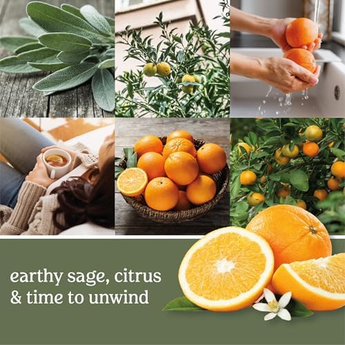 Yankee Candle ScentPlug Refill Sage Citrus Pack of 4
