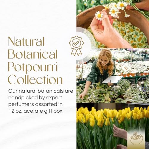 Gonesh Harmony Potpourri 12 oz Gift Box