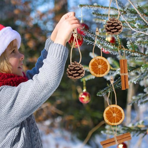 40Pcs Natural Christmas Tree Ornaments DIY Decor Set