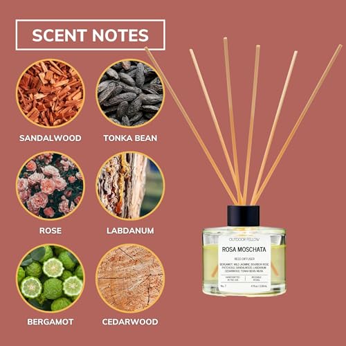 Rosa Moschata Musk Rose Reed Diffuser Set