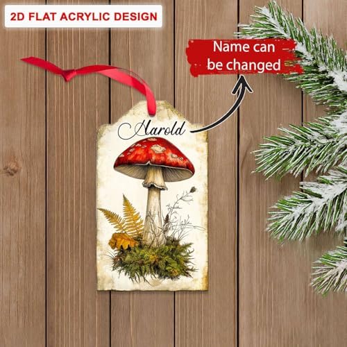 Custom Name Turtle Christmas Hanging Ornament Personalized Animal Shape Decor
