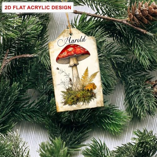 Custom Name Turtle Christmas Hanging Ornament Personalized Animal Shape Decor