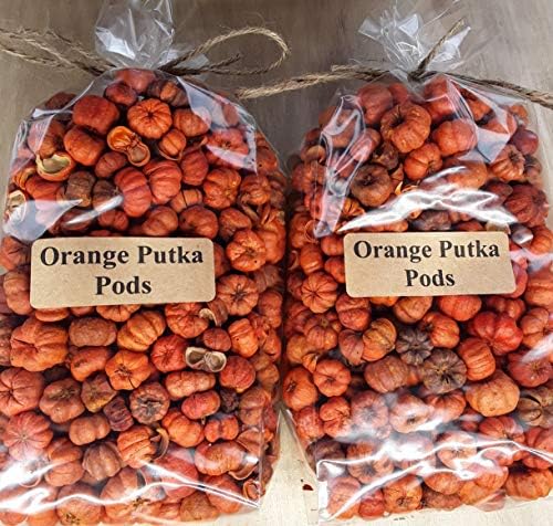 On The Bright Side Mini Orange Pumpkin Potpourri Bowl Fillers 8 Cups
