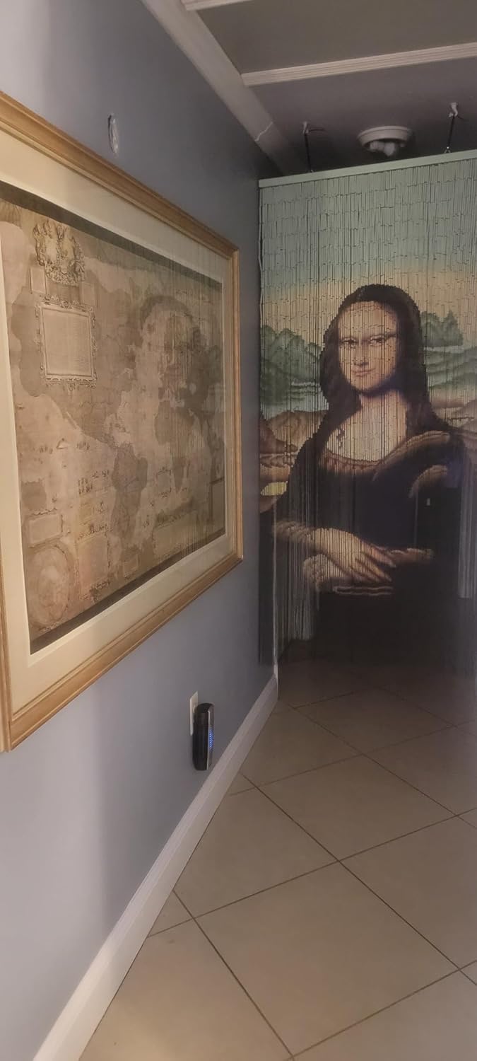 ABeadedCurtain 125 String Mona Lisa Beaded Curtain