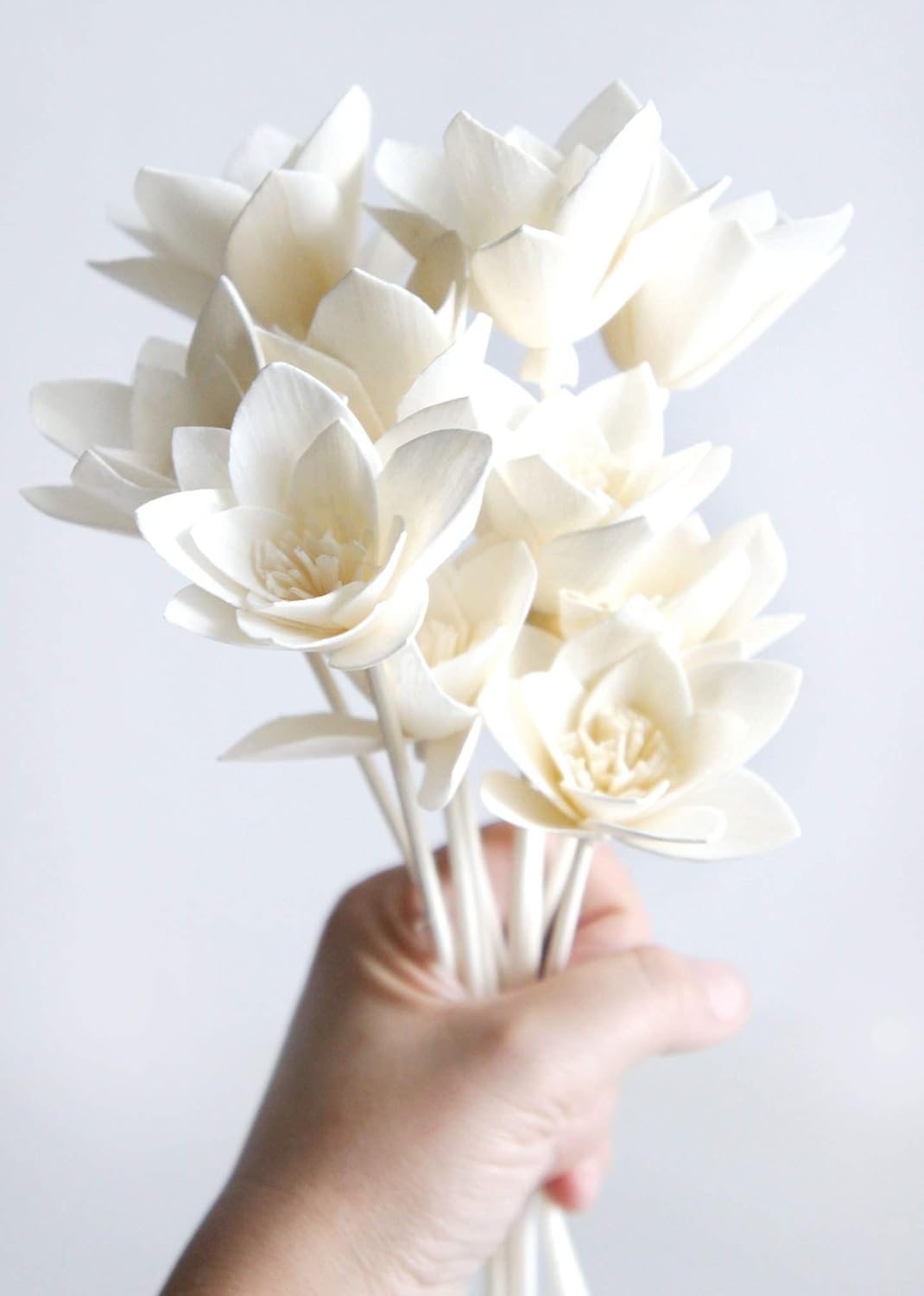 10 Sola Flower Reed Diffuser for Home Fragrance