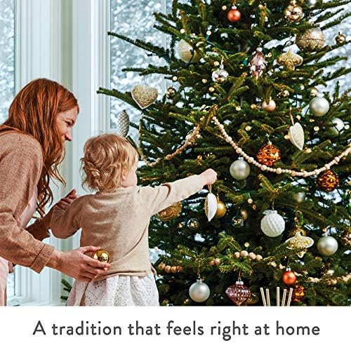 Thymes Frasier Fir Reed Diffuser Set