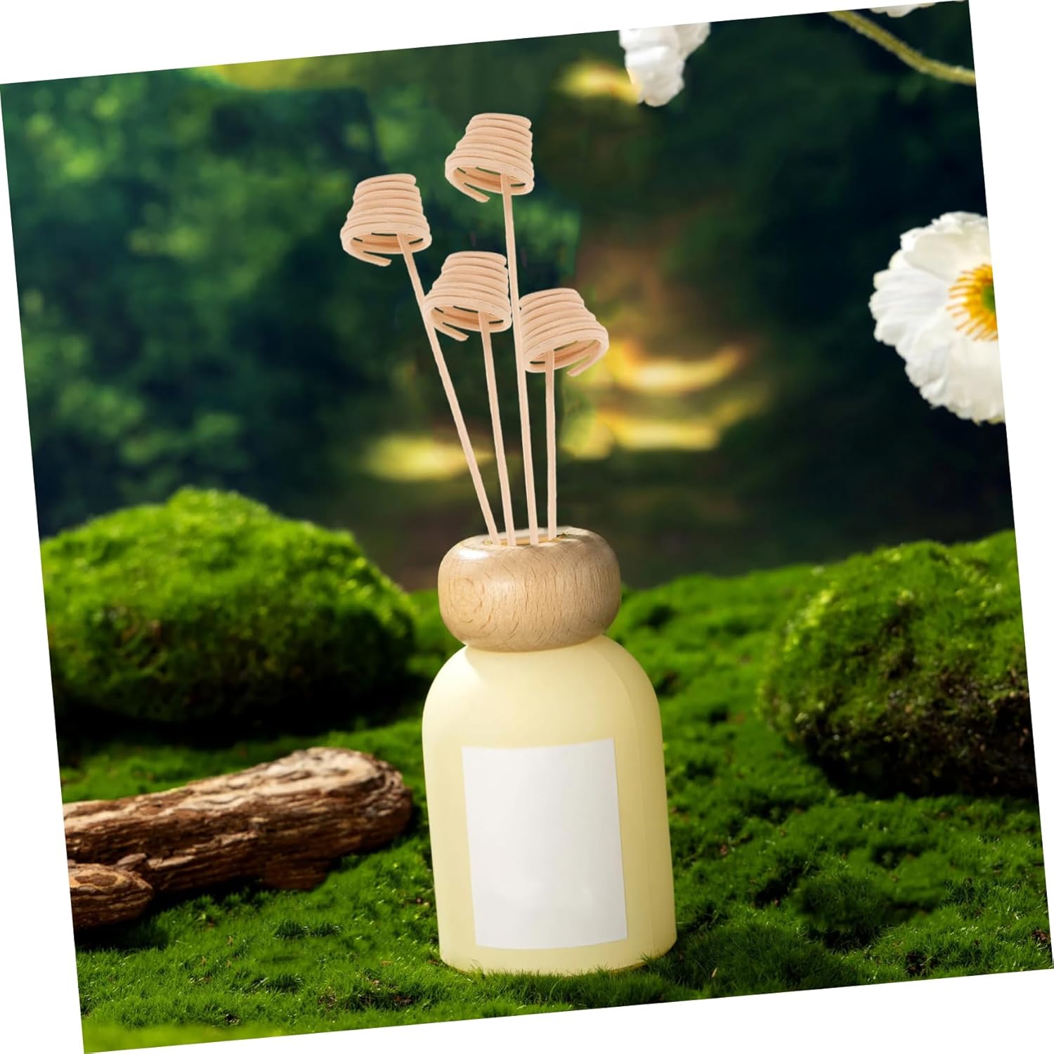 20PCS Natural Wood Diffuser Sticks for Home Decor