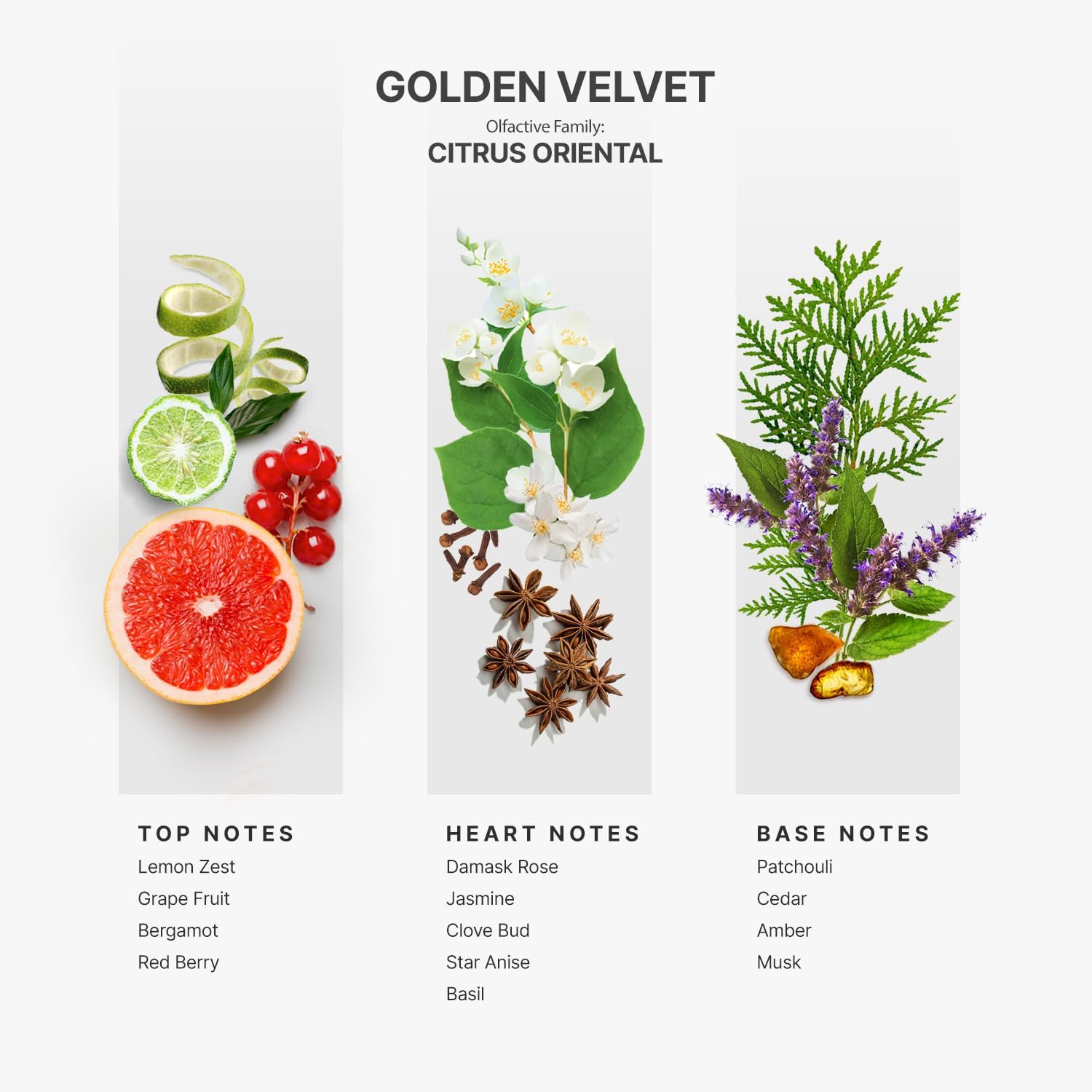 Aromaplan Hotel Scents Golden Velvet 5 Fl Oz Luxury Diffuser Oil