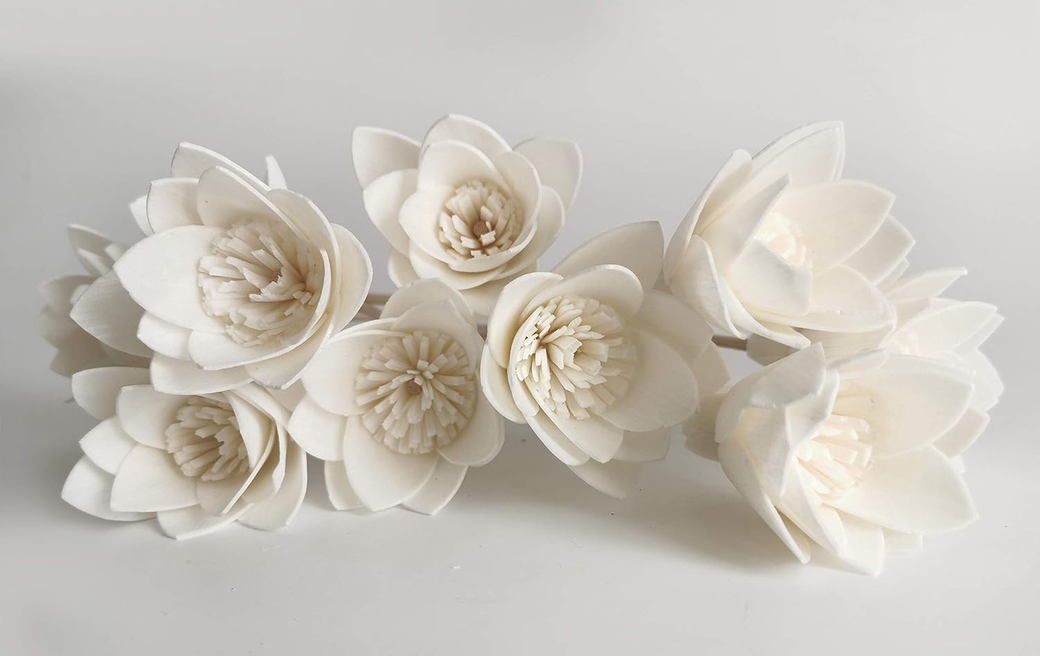 10 Sola Flower Reed Diffuser for Home Fragrance