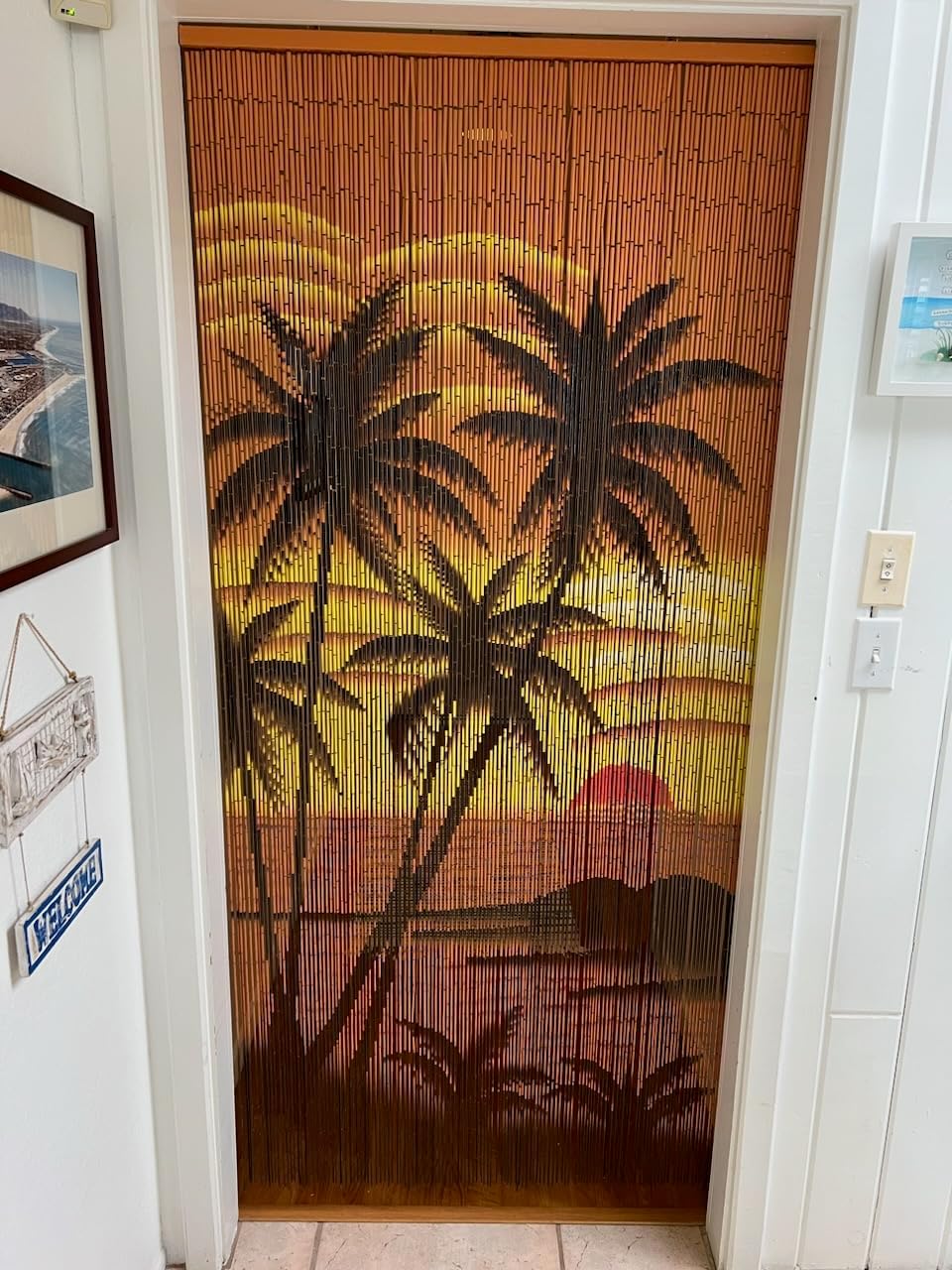 Beaded Curtain with 125 Strands and Hanging Hardware