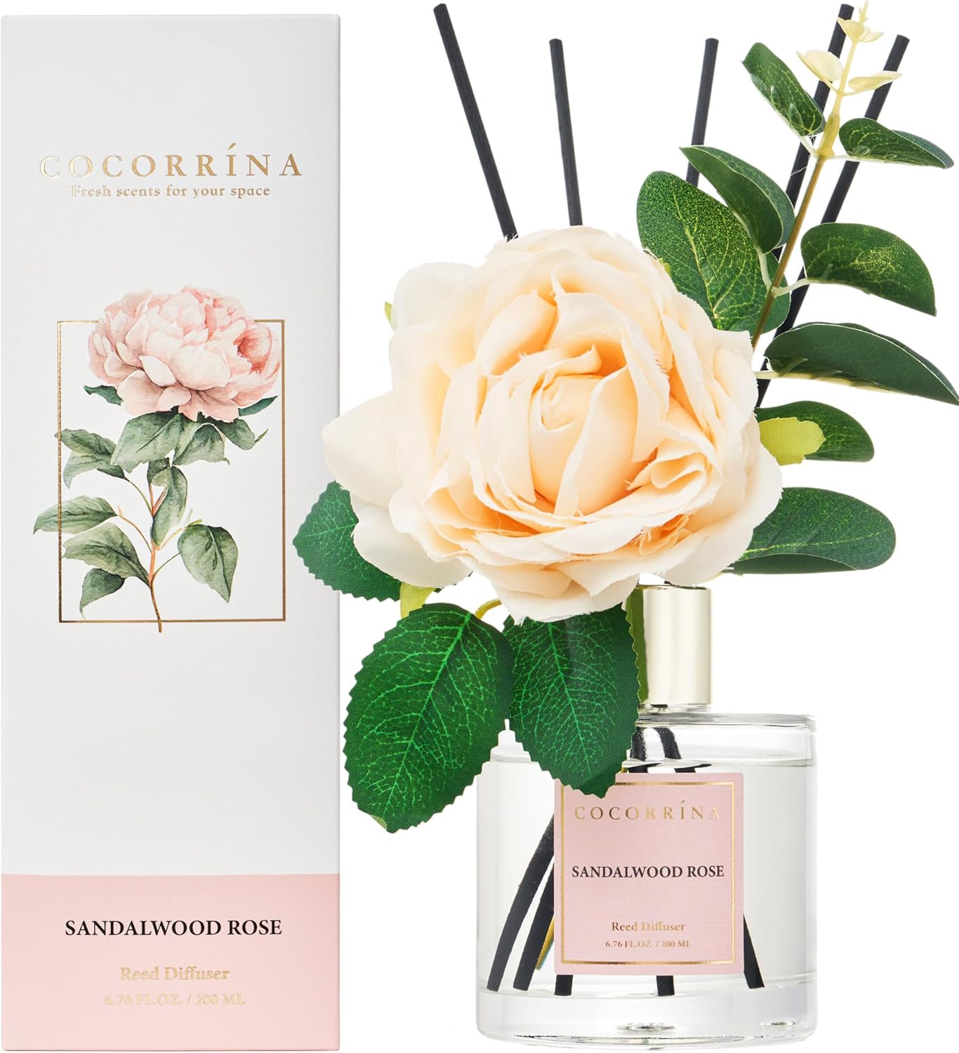 Cocorrina Reed Diffuser Set 67 oz