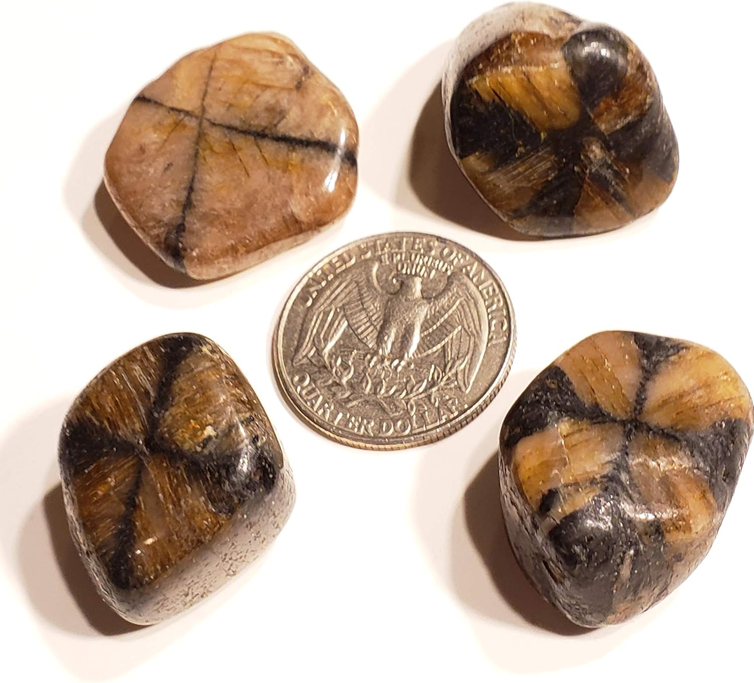 Chiastolite Cross Stone 20-30mm Tumbled Healing Crystal