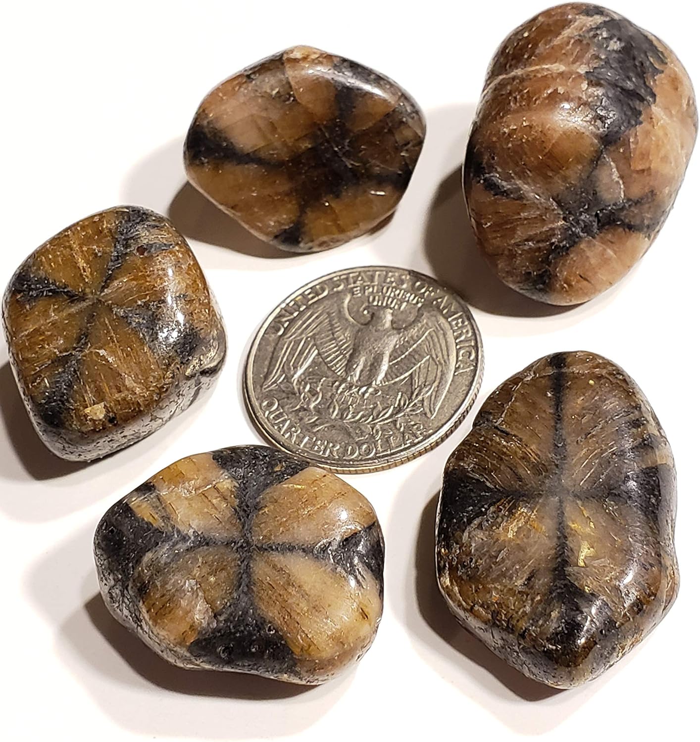 Chiastolite Cross Stone 20-30mm Tumbled Healing Crystal