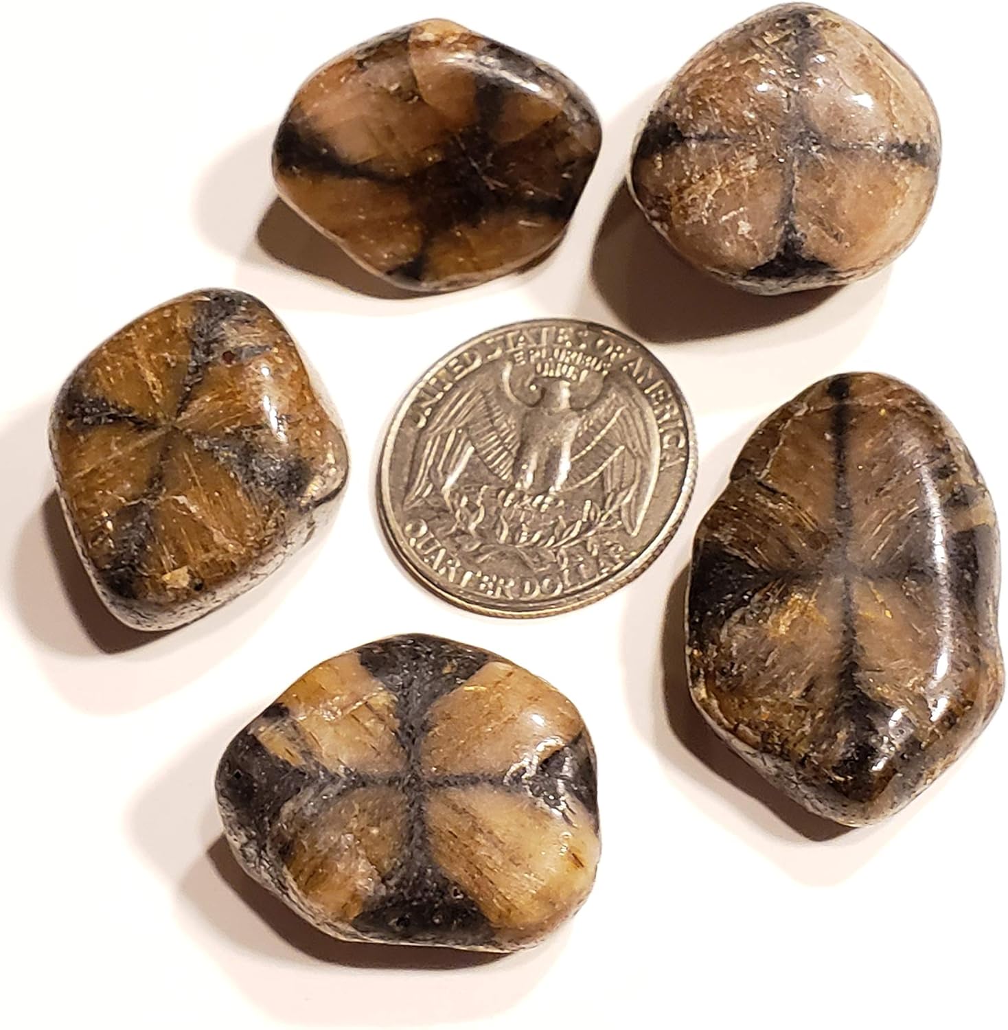 Chiastolite Cross Stone 20-30mm Tumbled Healing Crystal