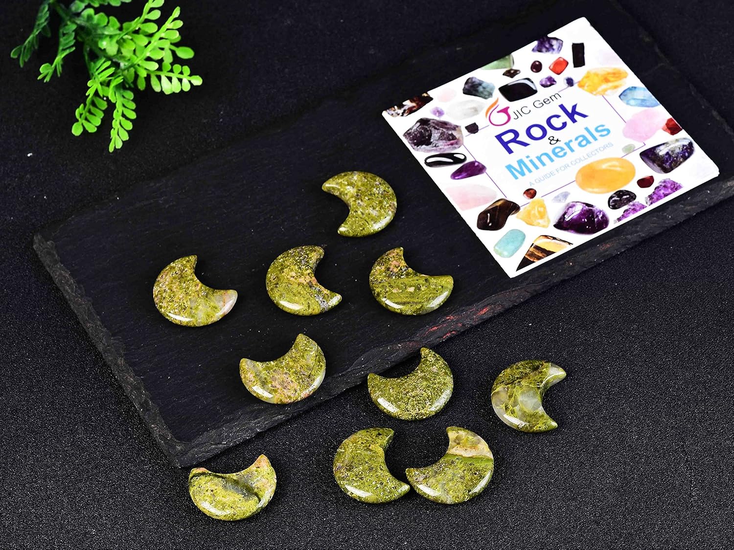 JIC Gem 10 Piece Moon Shape Unakite Crystal Set