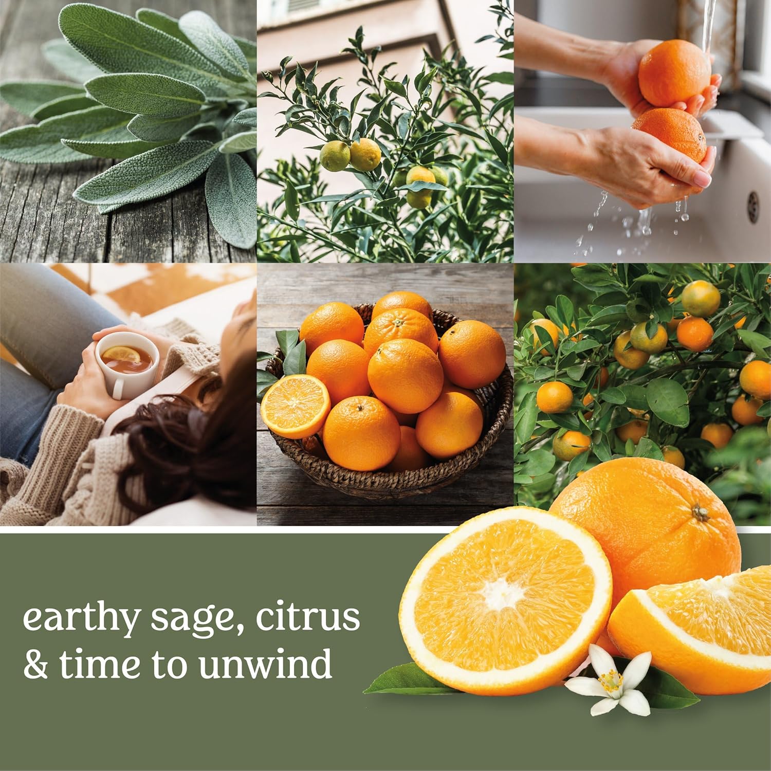 Yankee Candle ScentPlug Refill Sage Citrus Pack of 4