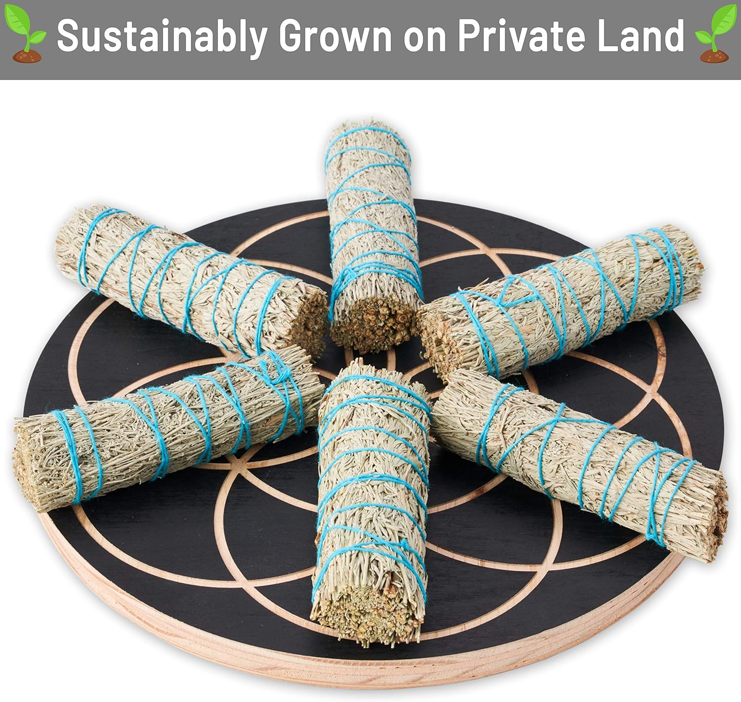 Blue Sage Smudge Sticks 4 Inch - Natural Healing Uplifting Energy